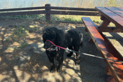 20220505_Dillon-Point.001