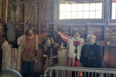 PXL_20220625_150453221