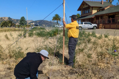 PXL_20220625_162941104